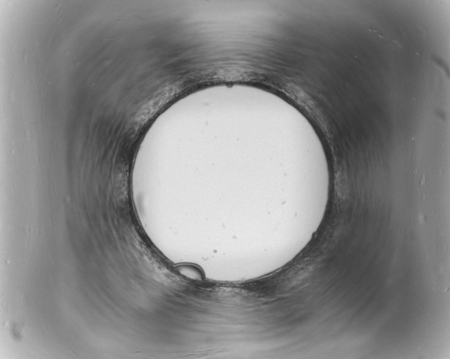 X0000101670393200807311502