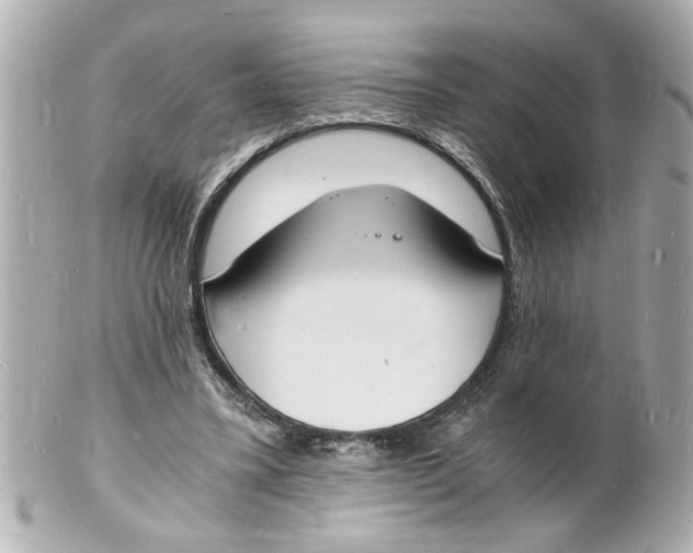 X0000101670395200807311502