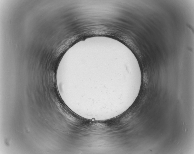 X0000101670397200807311502