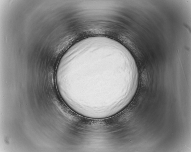 X0000101670398200807311502