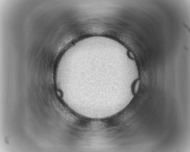 X0000101670399200807311502