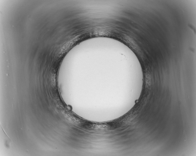 X0000101670401200807311502