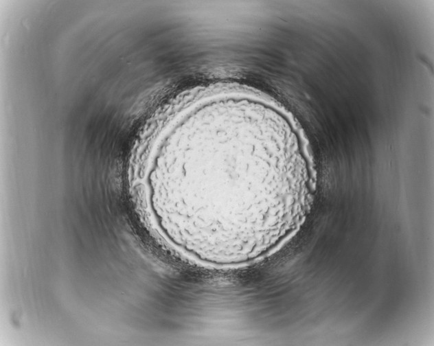 X0000101670402200807311502
