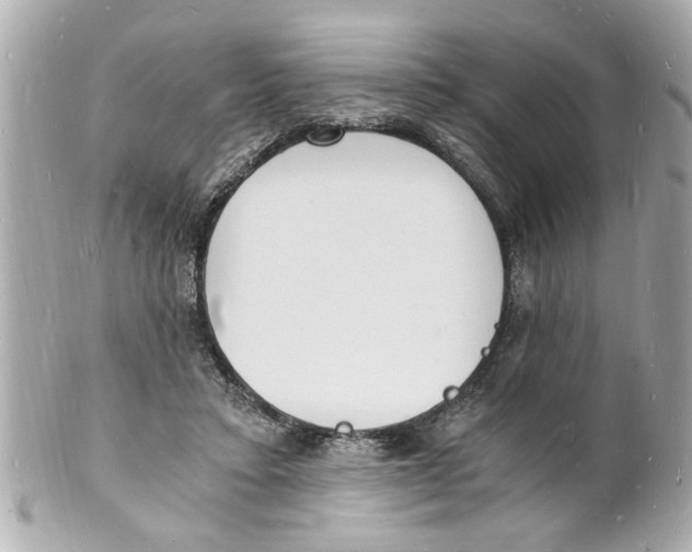 X0000101670403200807311502