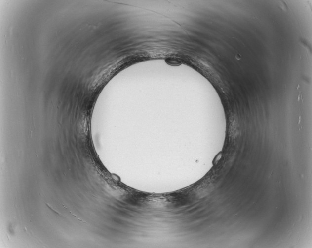 X0000101670405200807311501