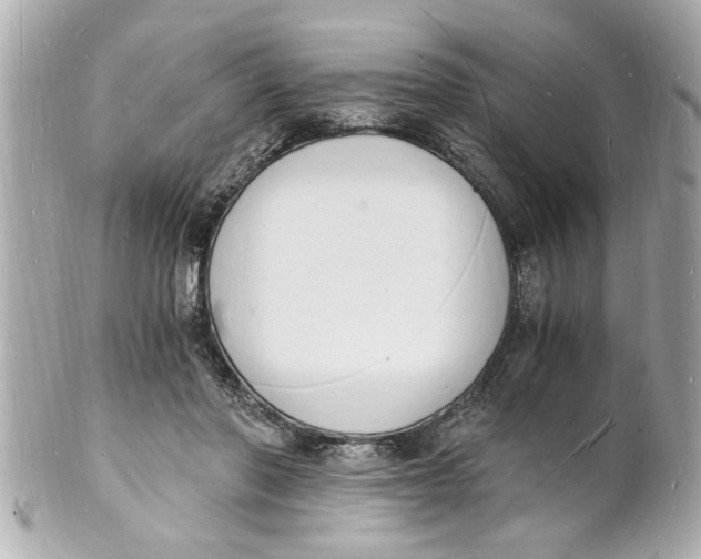 X0000101670406200807311501