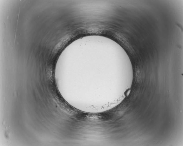 X0000101670407200807311501