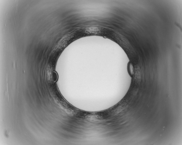 X0000101670408200807311501