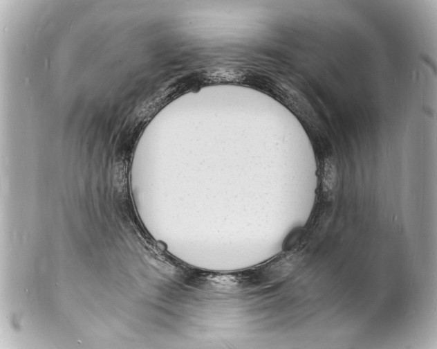 X0000101670409200807311501