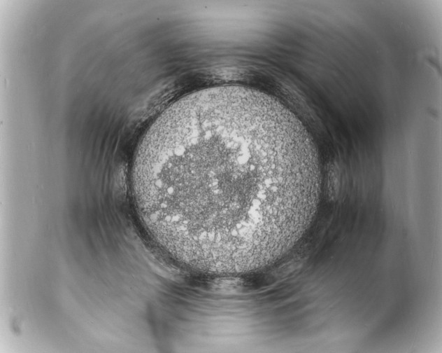 X0000101670410200807311501
