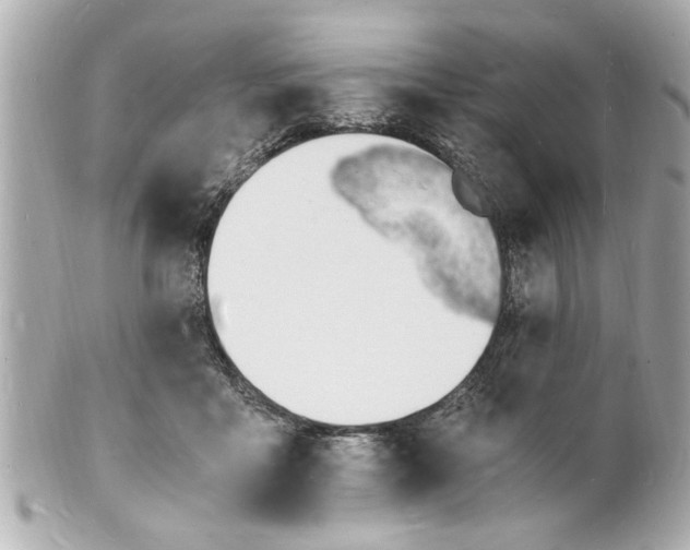 X0000101670411200807311501