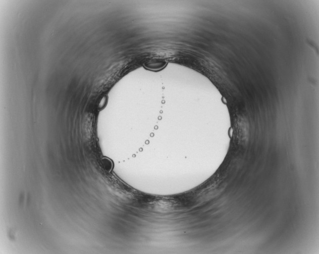 X0000101670412200807311501