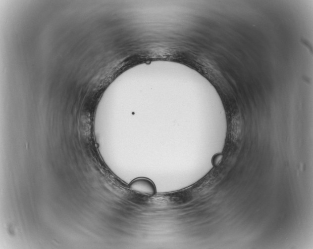 X0000101670413200807311501