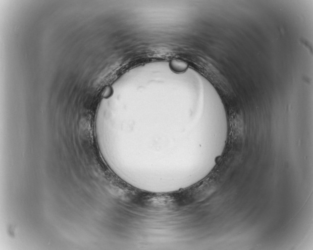 X0000101670415200807311501