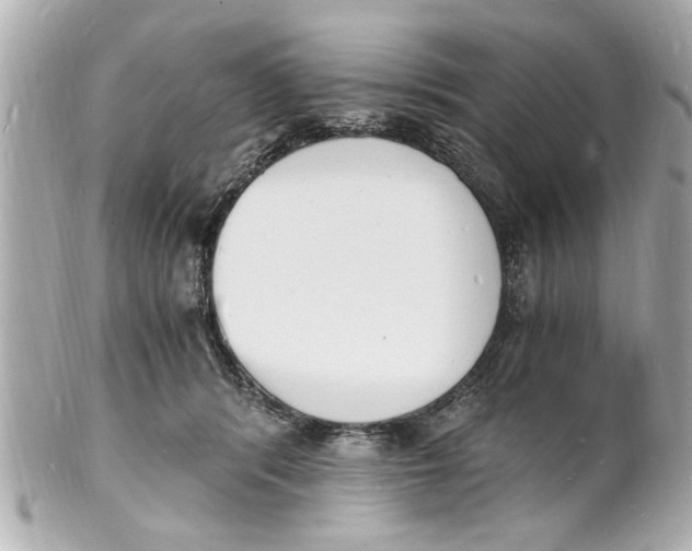 X0000101670416200807311501