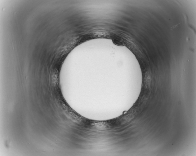 X0000101670417200807311501