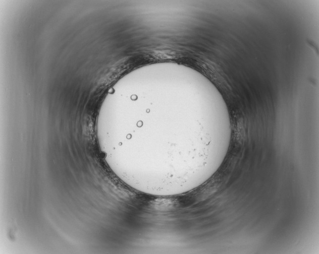 X0000101670418200807311501