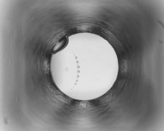X0000101670420200807311501