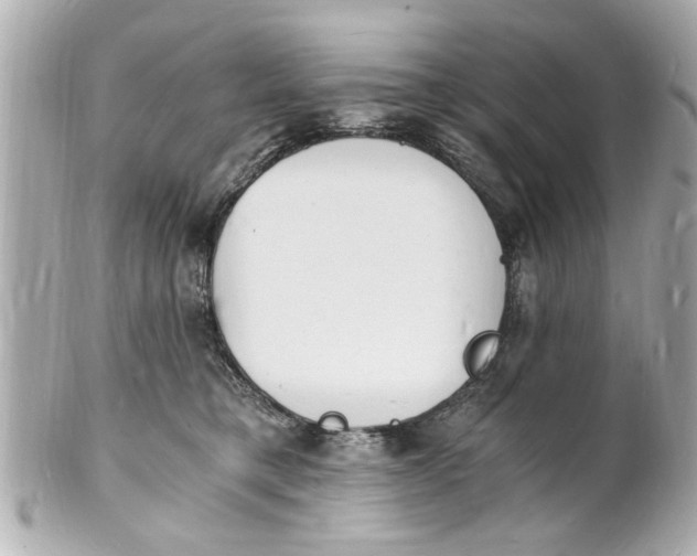 X0000101670421200807311501