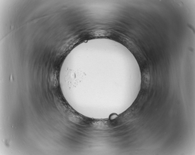 X0000101670422200807311501