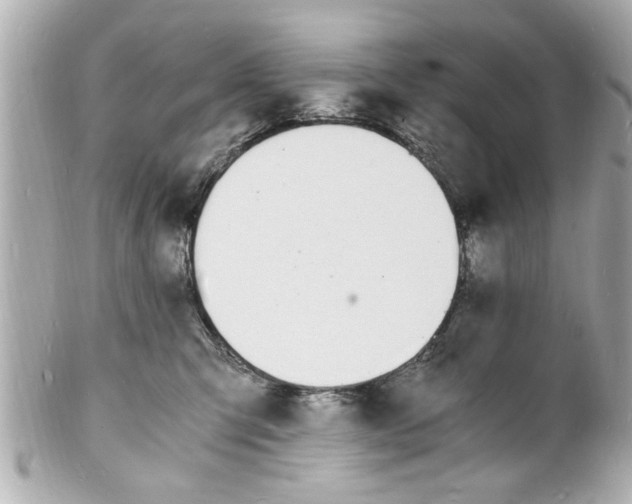X0000101670423200807311501