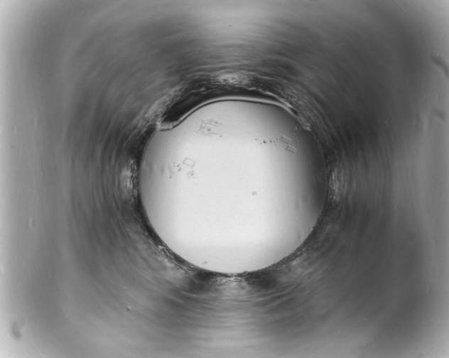 X0000101670424200807311501