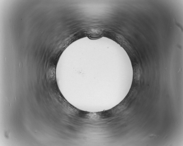 X0000101670425200807311501