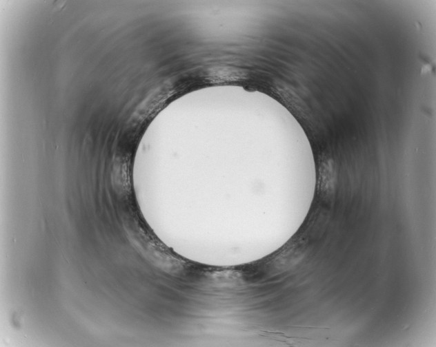 X0000101670426200807311501