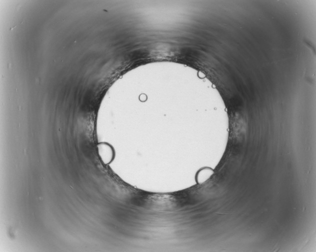 X0000101670427200807311501