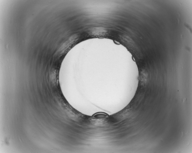 X0000101670428200807311501