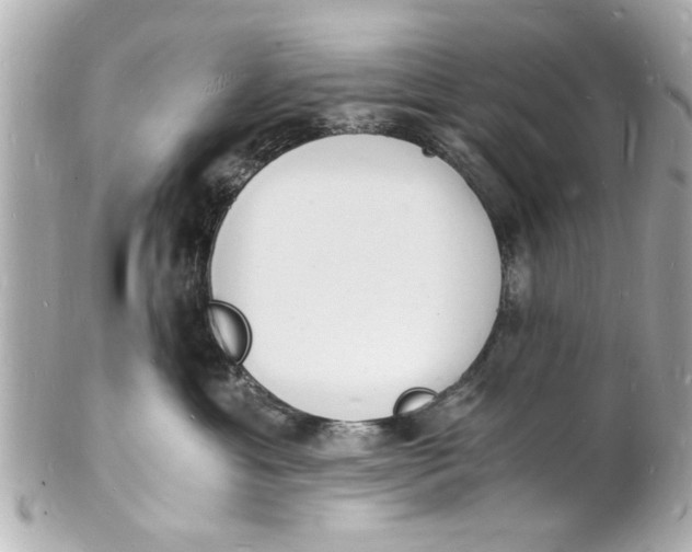X0000101670429200807311501