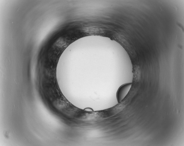 X0000101670430200807311501