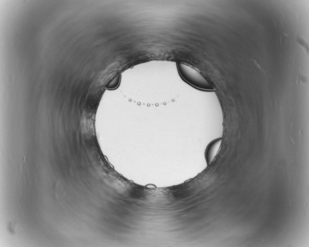 X0000101670432200807311501