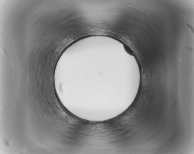 X0000101670433200807311500