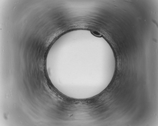 X0000101670434200807311500