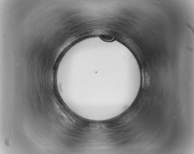 X0000101670435200807311500
