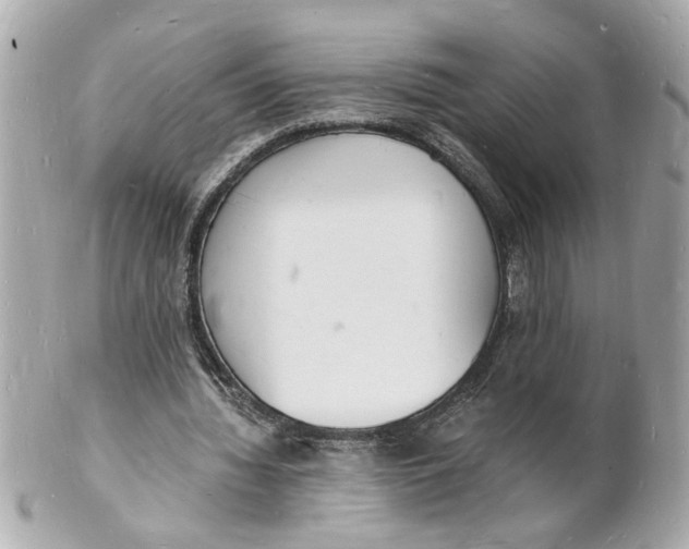 X0000101670436200807311500