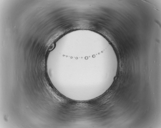 X0000101670437200807311501
