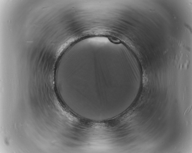 X0000101670438200807311501