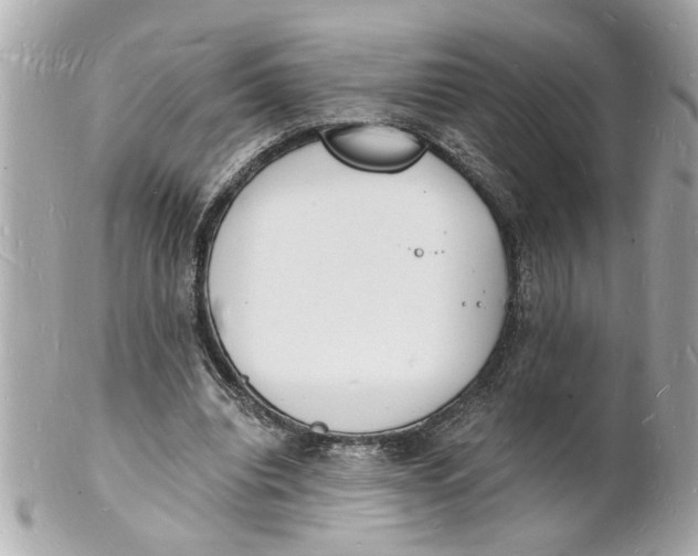 X0000101670440200807311501