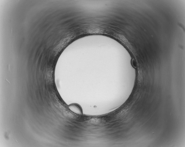 X0000101670441200807311501