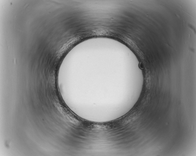 X0000101670442200807311501