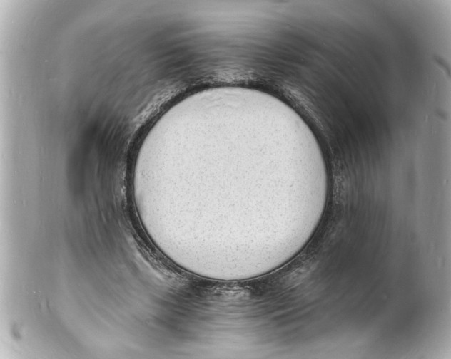X0000101670443200807311501