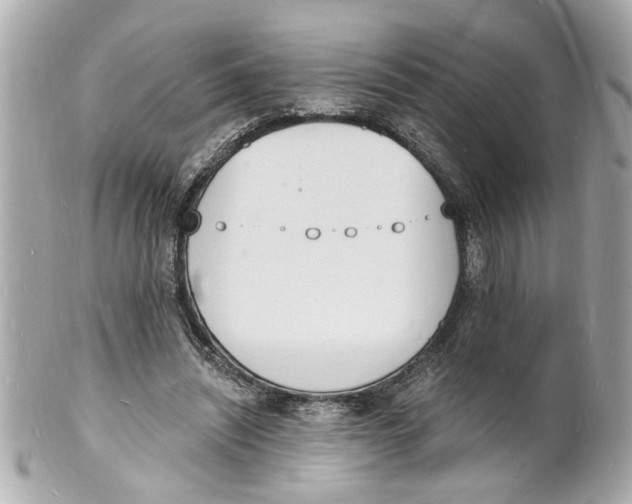 X0000101670444200807311501