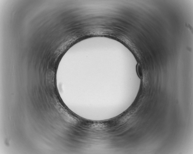 X0000101670445200807311501