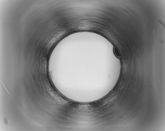 X0000101670446200807311501
