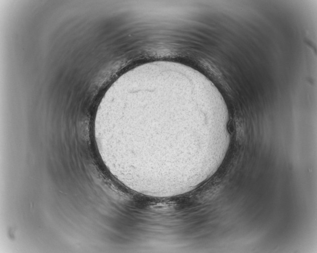 X0000101670447200807311501