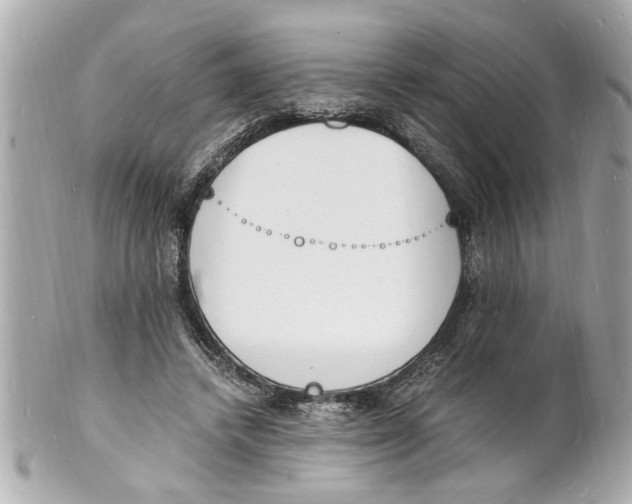 X0000101670448200807311501