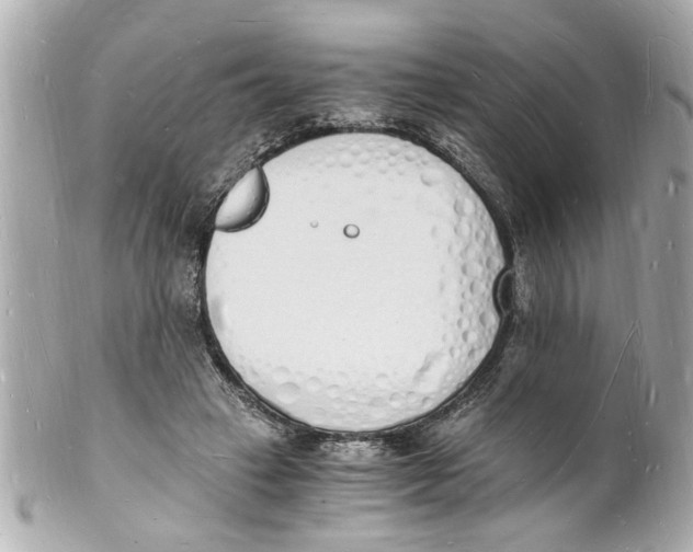 X0000101670449200807311501