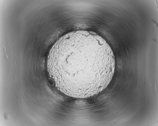 X0000101670451200807311501